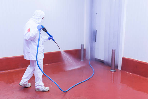 Best Soft Washing  in Woodfin, NC